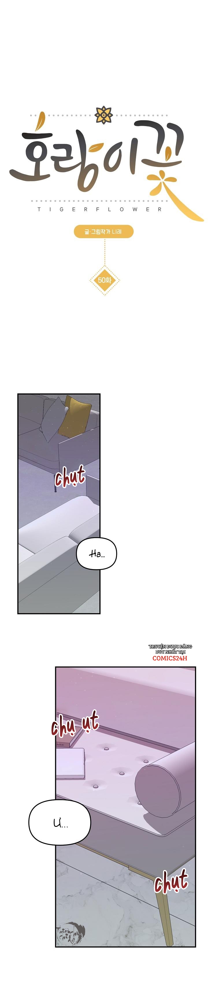 hoa ly hổ chapter 50 2