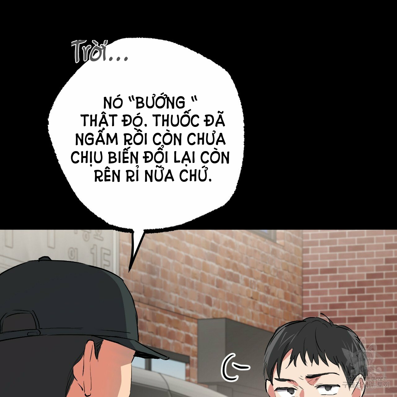 những chú thỏ của hapypy chapter 45 50