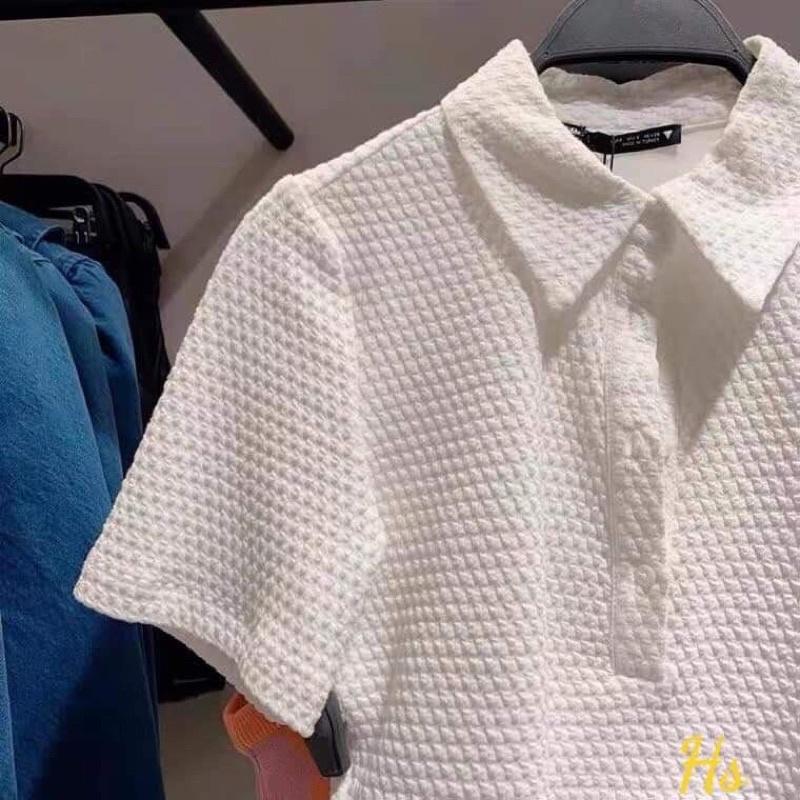 Áo croptop cổ bẻ chất tổ ong HS6