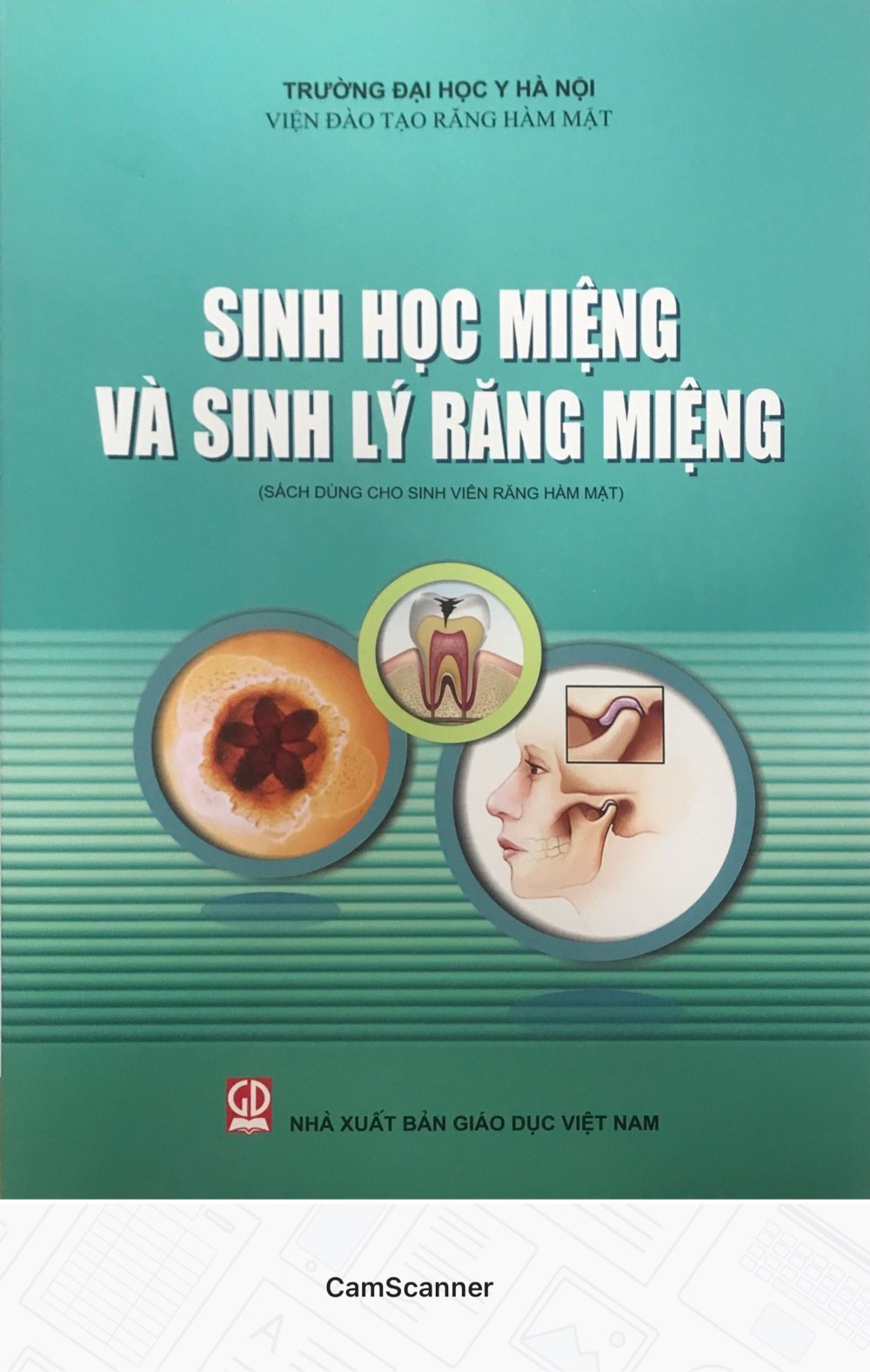 Sinh học miệng và sinh lý răng miệng - Sách mới 2021