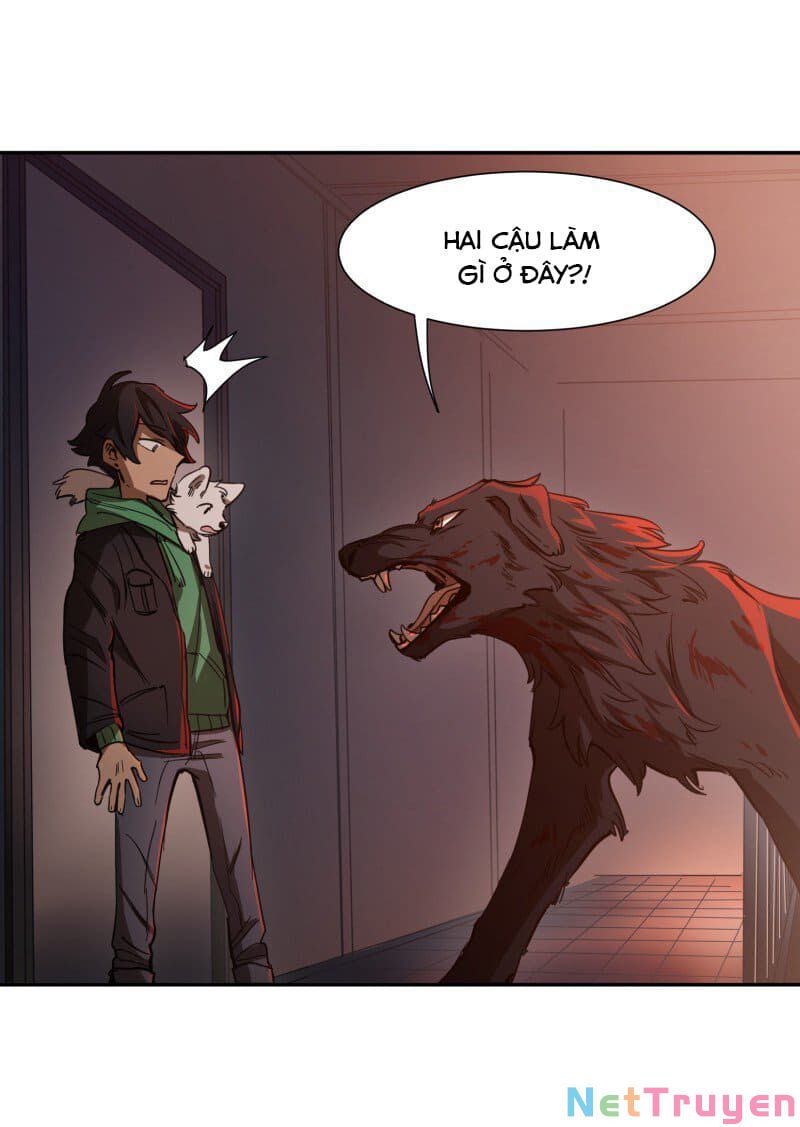 lumine - cội nguồn ánh sáng chapter 74 15