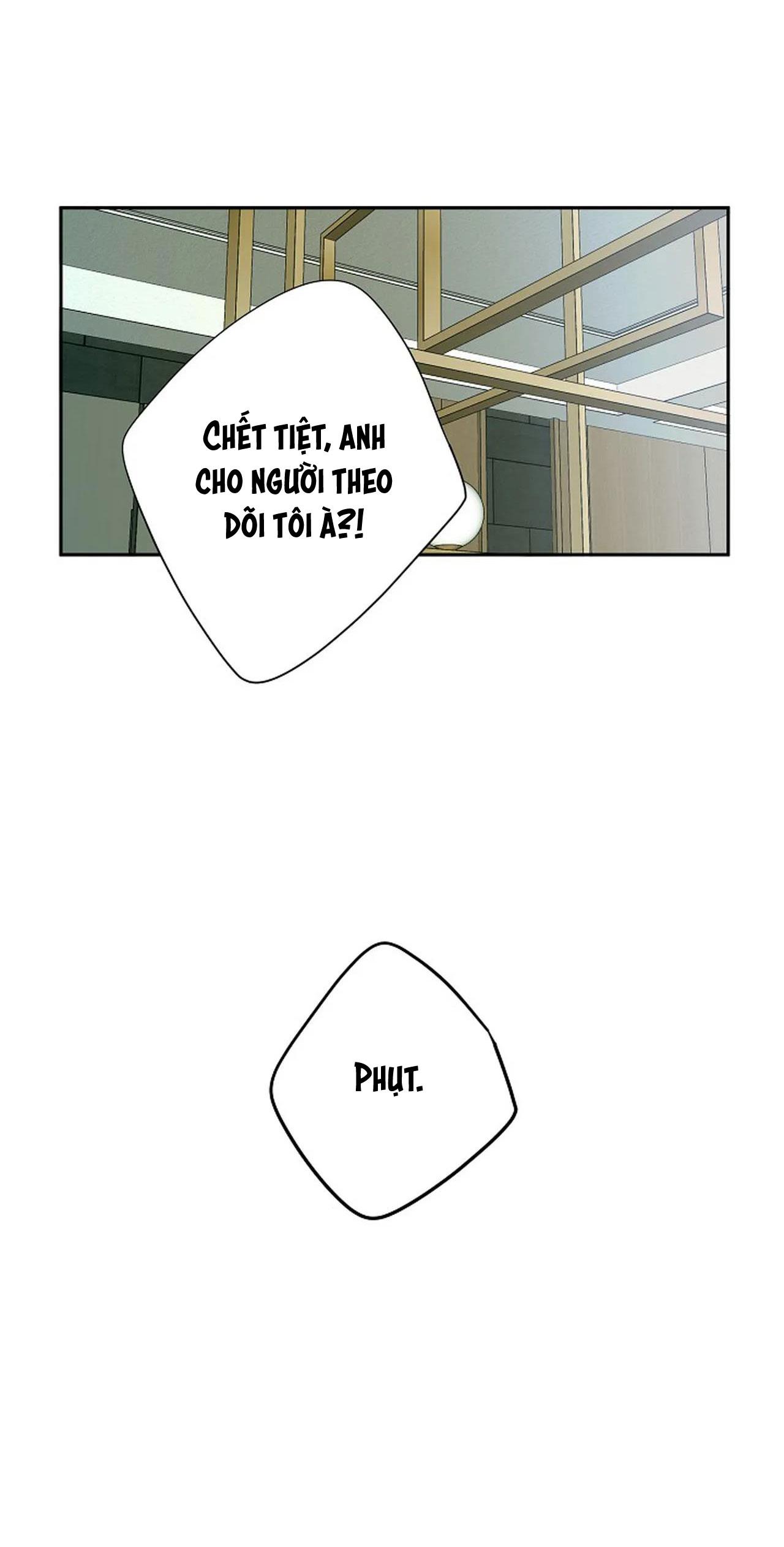 đêm dịu dàng chapter 41 35