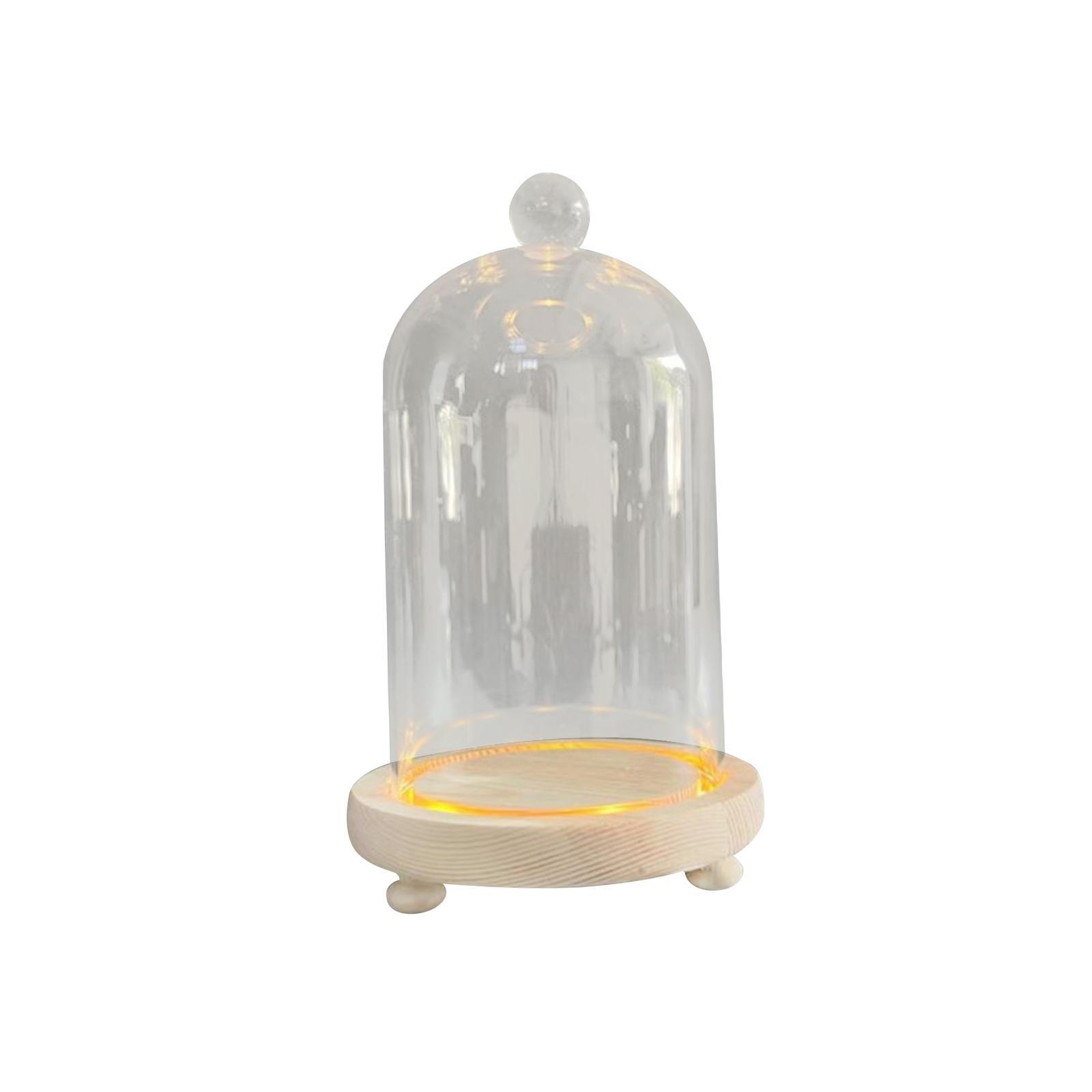 Glass Cloche Dome Eternal Flowers Glass Domes Showcase Transparent Dome Cloche