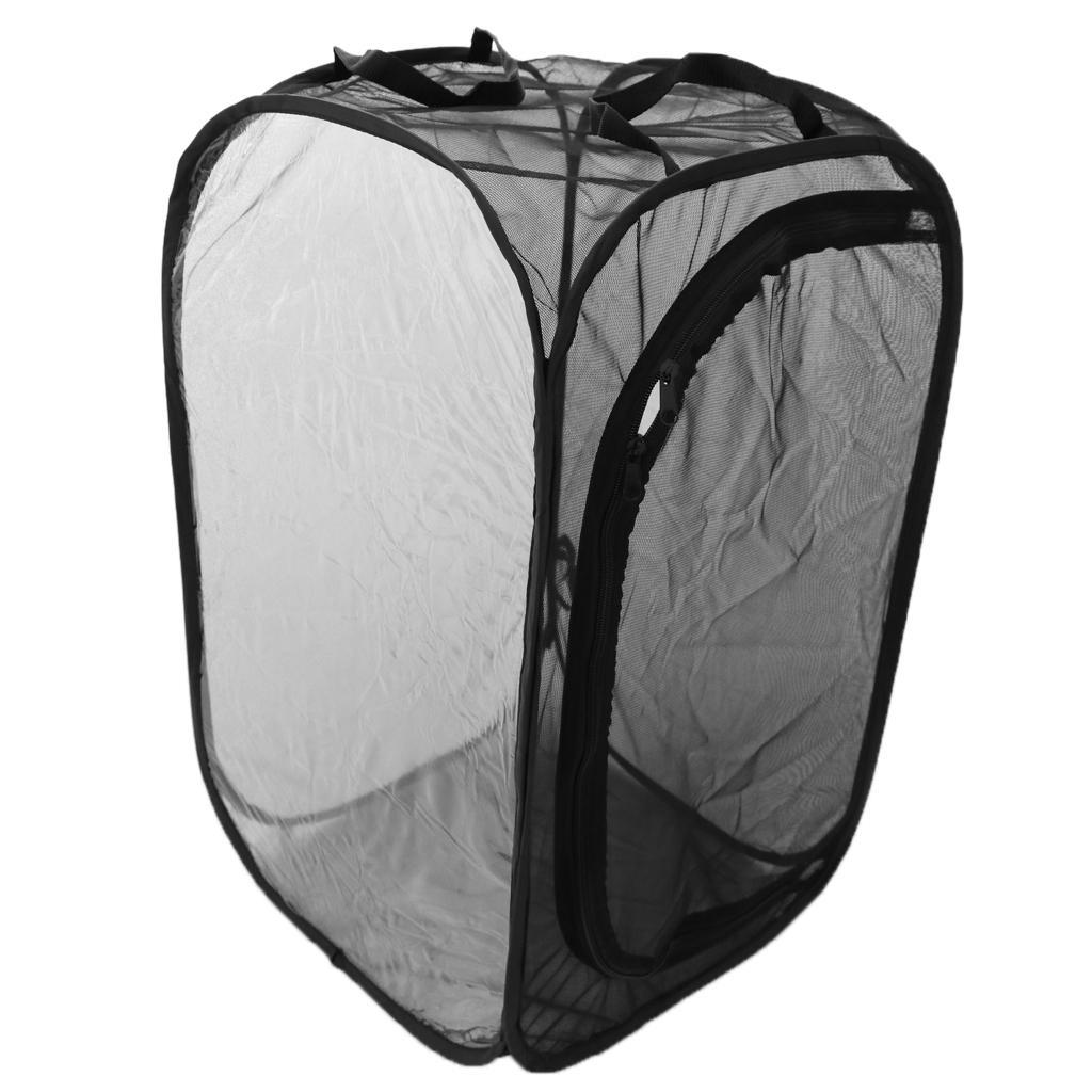 2 Pcs Insect Butterfly Raising Habitat -up Terrarium Insect Mesh Cage