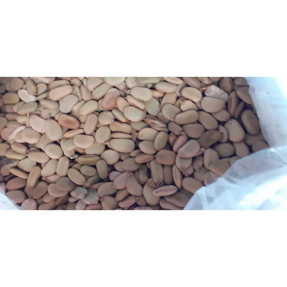Hạt keo giống
