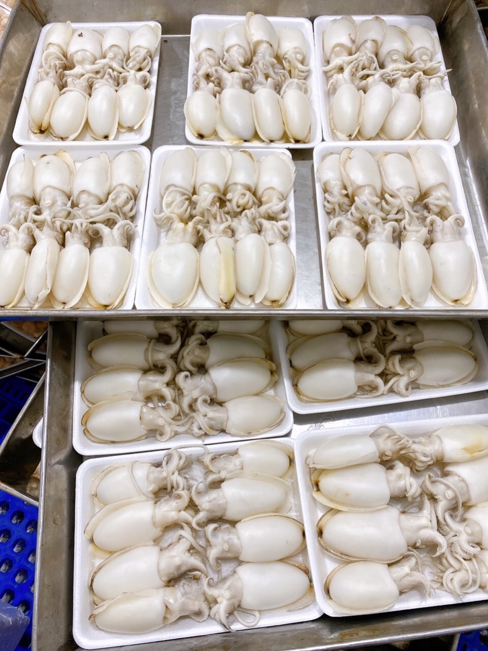 Mực bầu baby 14-20 - Khay 500g