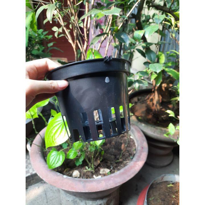 Chậu nhựa đen trồng lan, cây cảnh fi 18
