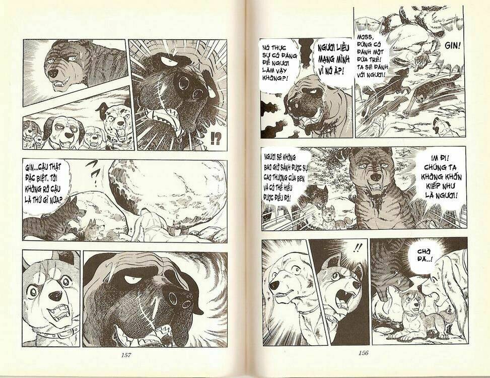 chú chó có nghĩa - ginga nagareboshi gin chapter 16 26