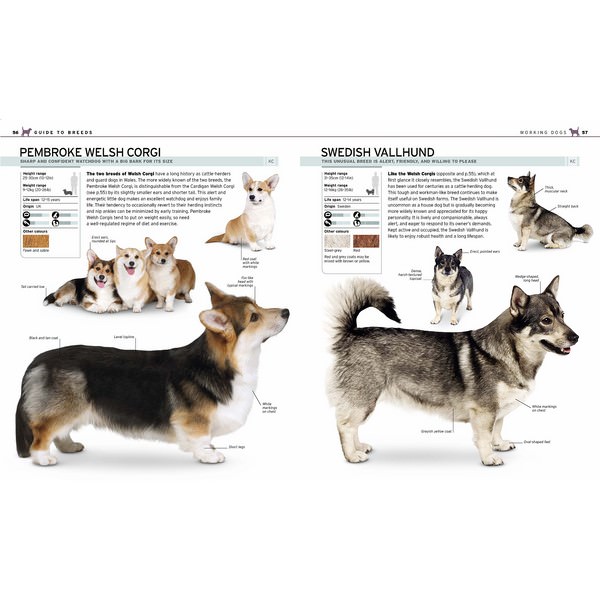 The Complete Dog Breed Book