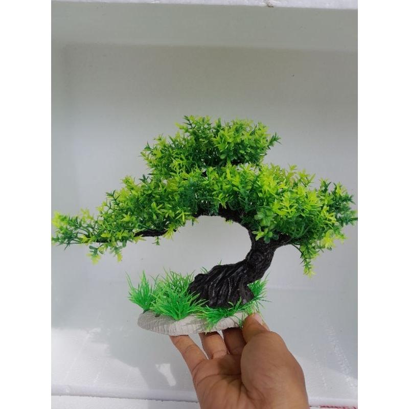Bonsai bể cá cảnh - cây trang trí hòn non bộ tiểu canh-cây để bàn