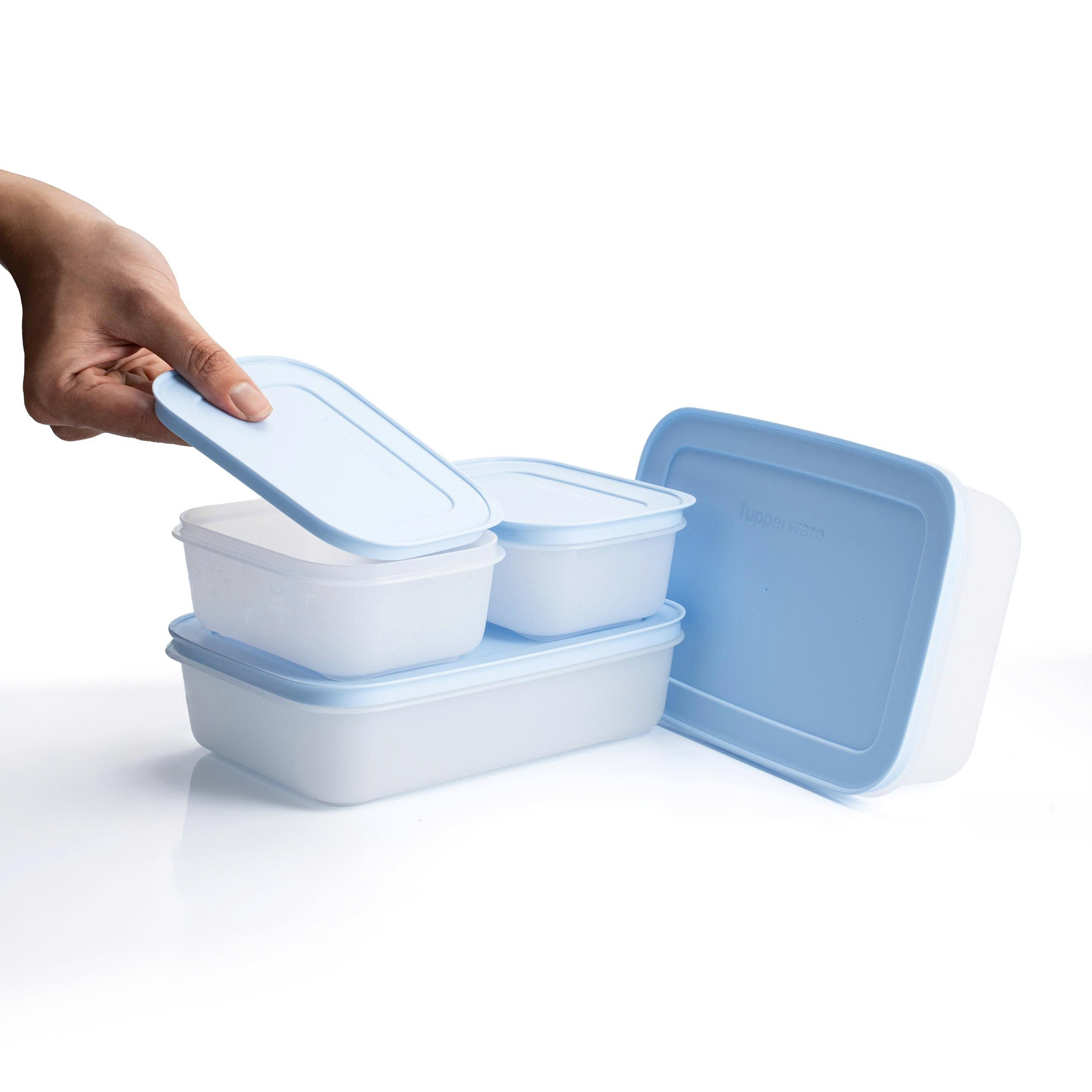 Bộ 4 hộp đựng thực phẩm Tupperware trữ đông Gen II 450ml và 1L