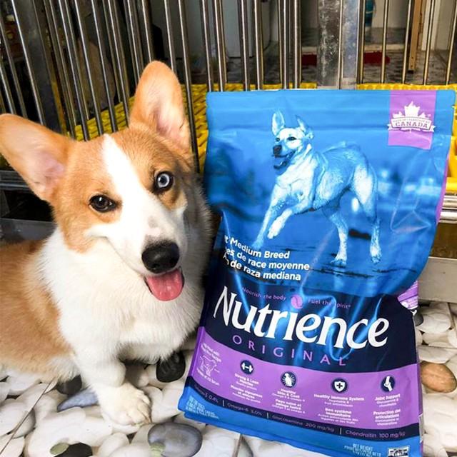 Thức Ăn Cho Chó Corgi Nutrience Original Bao 5kg Da Lông Bóng Mượt - Thịt Cừu, Rau Củ, Trái Cây