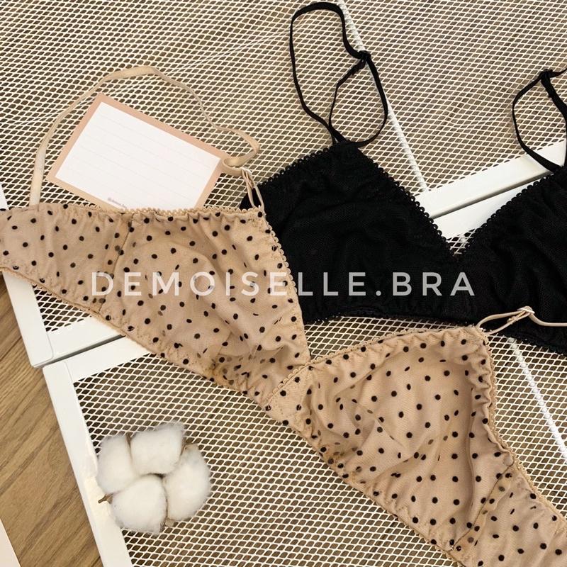 DAISIE set | ᴍᴀ̂̃ᴜ ʀᴇɴ ʟᴜ̛ᴏ̛́ɪ ʙɪ ᴋɪᴇ̂̉ᴜ ᴅᴀ́ɴɢ ᴄᴏ̛ ʙᴀ̉ɴ