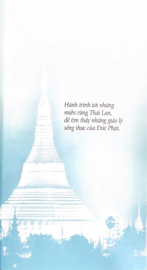 Tâm Tĩnh Lặng (Tái Bản 2024)