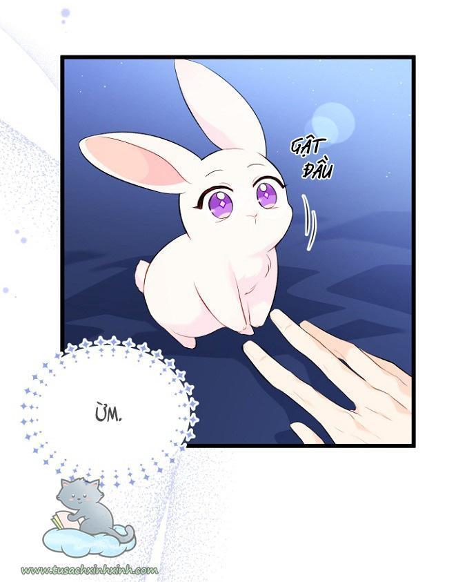 quan hệ cộng sinh giữa báo đen và thỏ trắng chapter 47 10