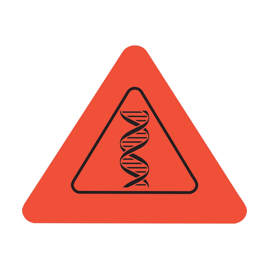 Cẩm Nang Khám Phá Cơ Thể Người