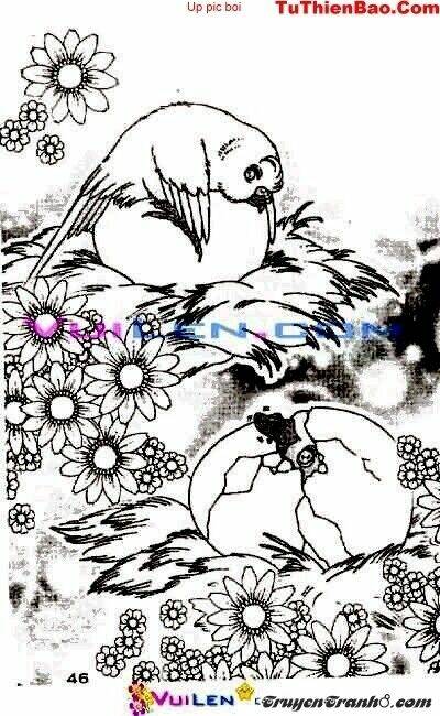 đóa hoa yêu kiều chapter 2 47