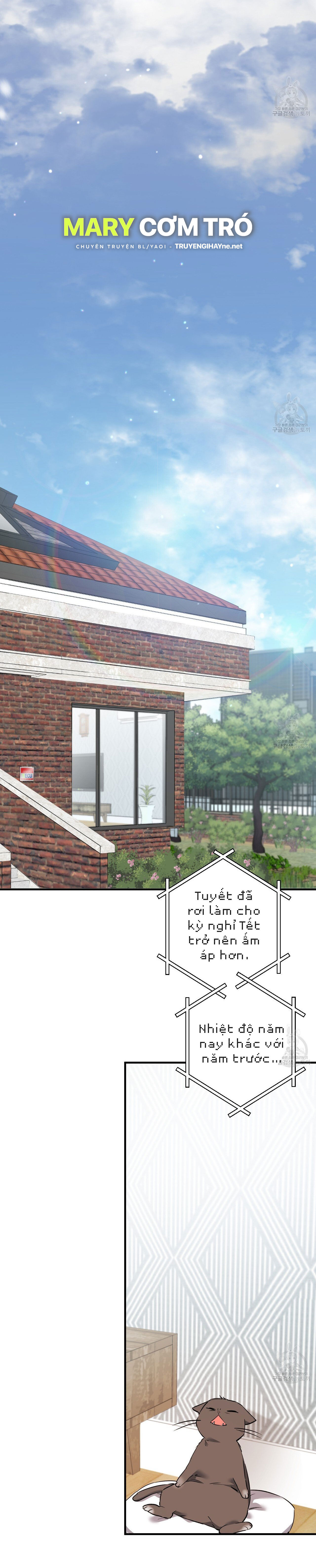 những chú thỏ của hapypy chapter 65.2 31