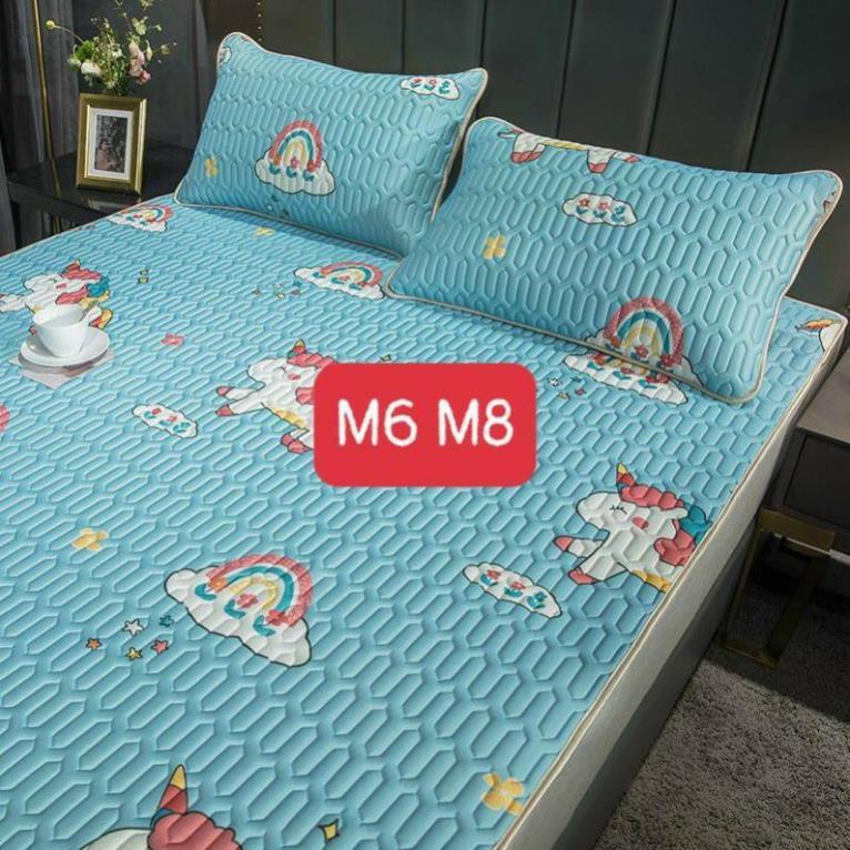Chiếu điều hòa cao su non tencel 2D