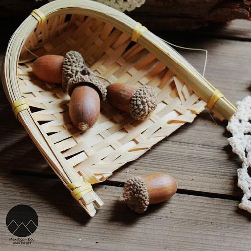 Quả sồi khô dùng làm đạo cụ chụp ảnh và phụ kiện trang trí chụp ảnh sản phẩm