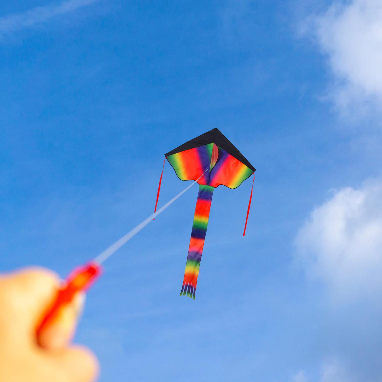 Delta Kites Fly Kite with Tail Rainbow Kites for Family Trips Garden Beginner Games