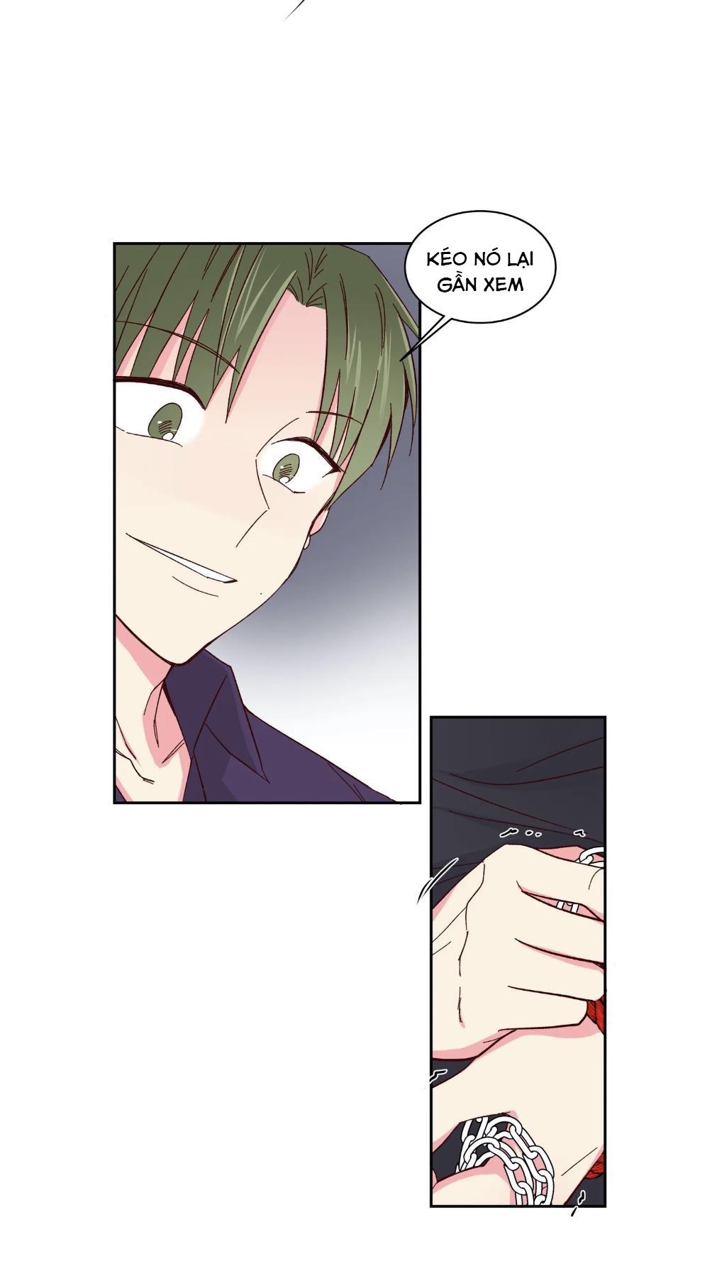 món tráng miệng của sếp tổng chapter 57 21