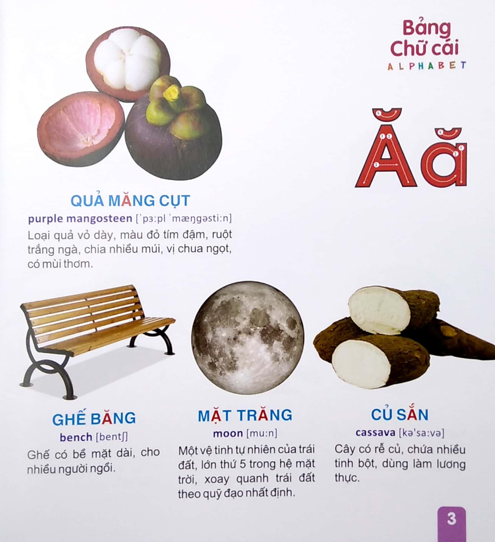 Từ Điển Tranh - Bảng Chữ Cái