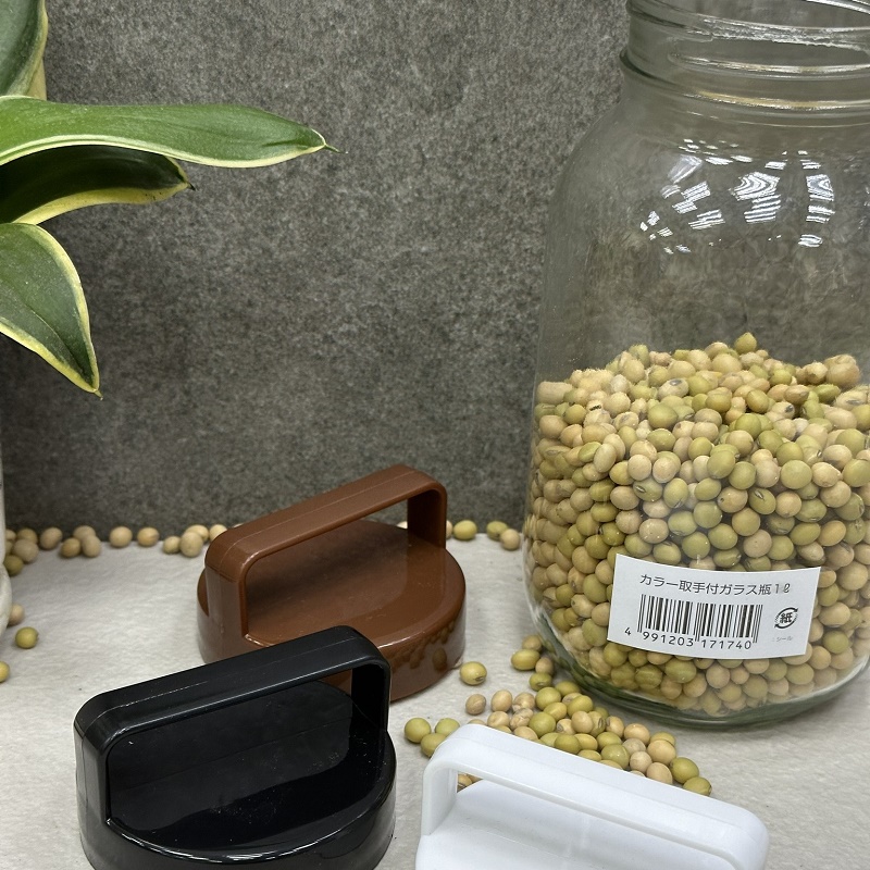 Chai thủy tinh có quai xách Echo Glass Bottle 1.0L - Hàng nội địa Nhật Bản nhập khẩu chính hãng