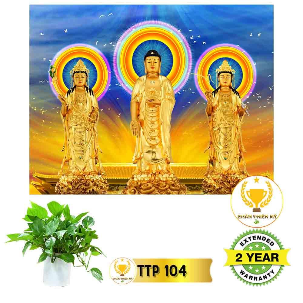 Tranh điện Tam Thế Phật_TTP11