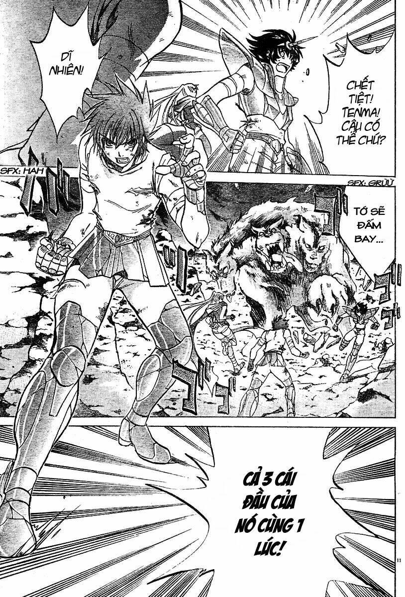 áo giáp vàng: thánh đấu sĩ thiên mã chapter 25 12