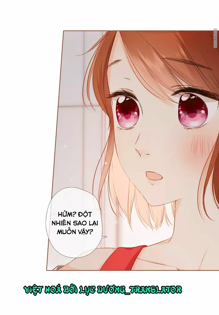 Tình yêu là màu hoa anh thảo chapter 35.1 24