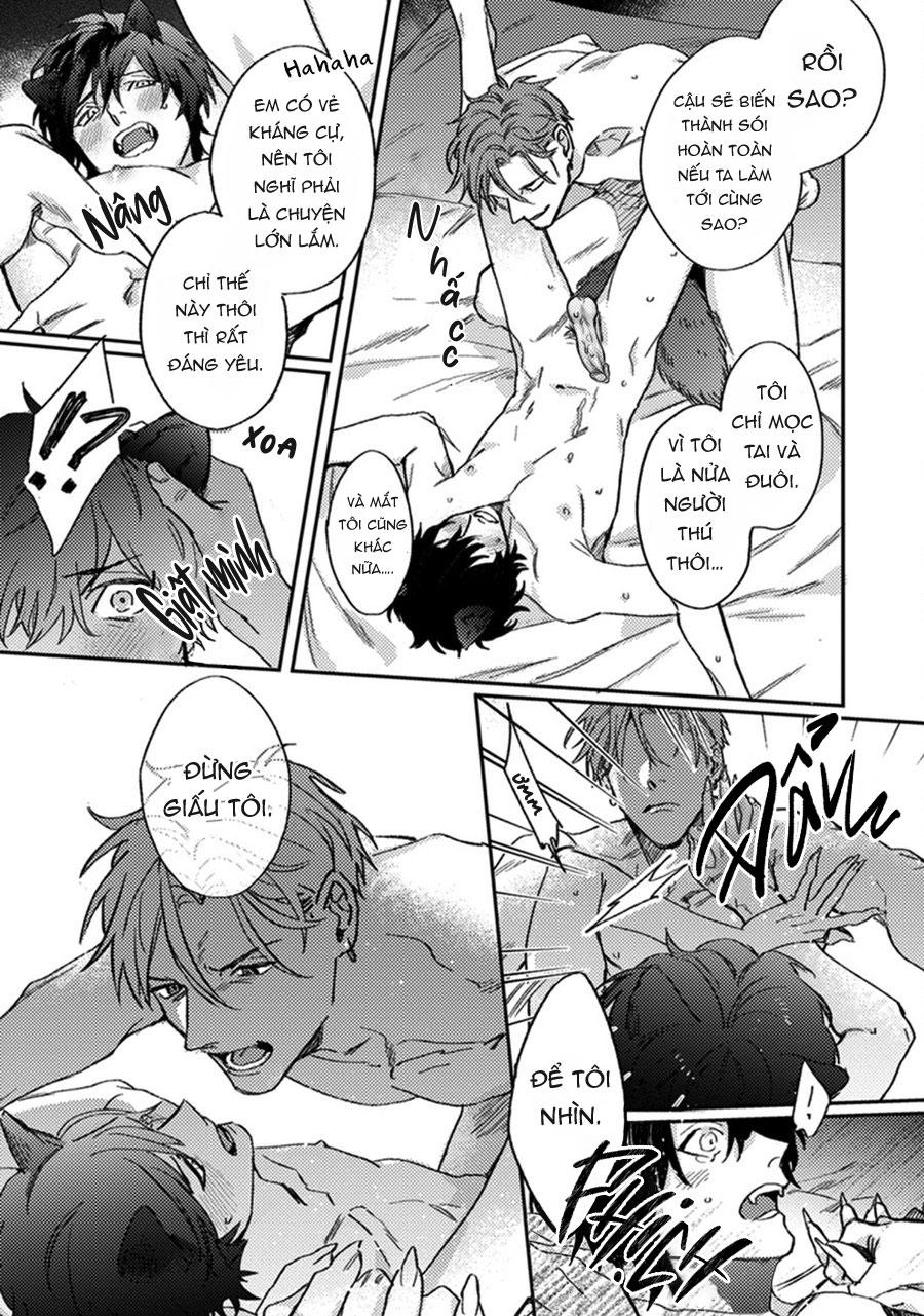 sự rung động thuần khiết chapter 6 22