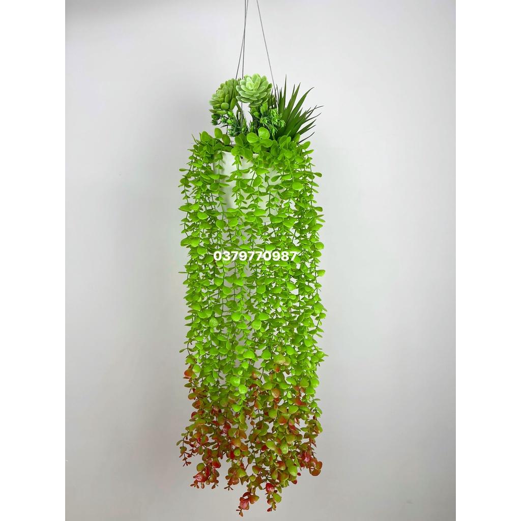 Chậu cây rủ trang trí, cụm dây leo rủ trang trí cho cà phê, nhà hàng quán ăn decor