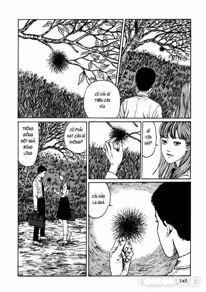 tuyển tập truyện ngắn kinh dị của ito junji chapter 14.4 7