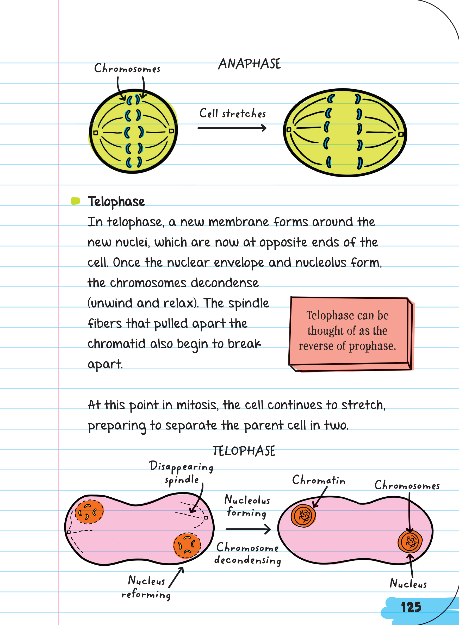 Sách: Everything You Need To Ace Biology - Sổ tay sinh học ( lớp 8 - lớp 12 )