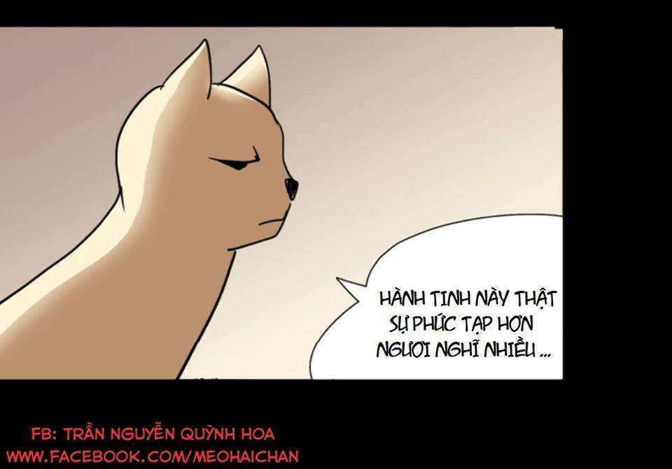 ngôi sao fod chapter 5 17