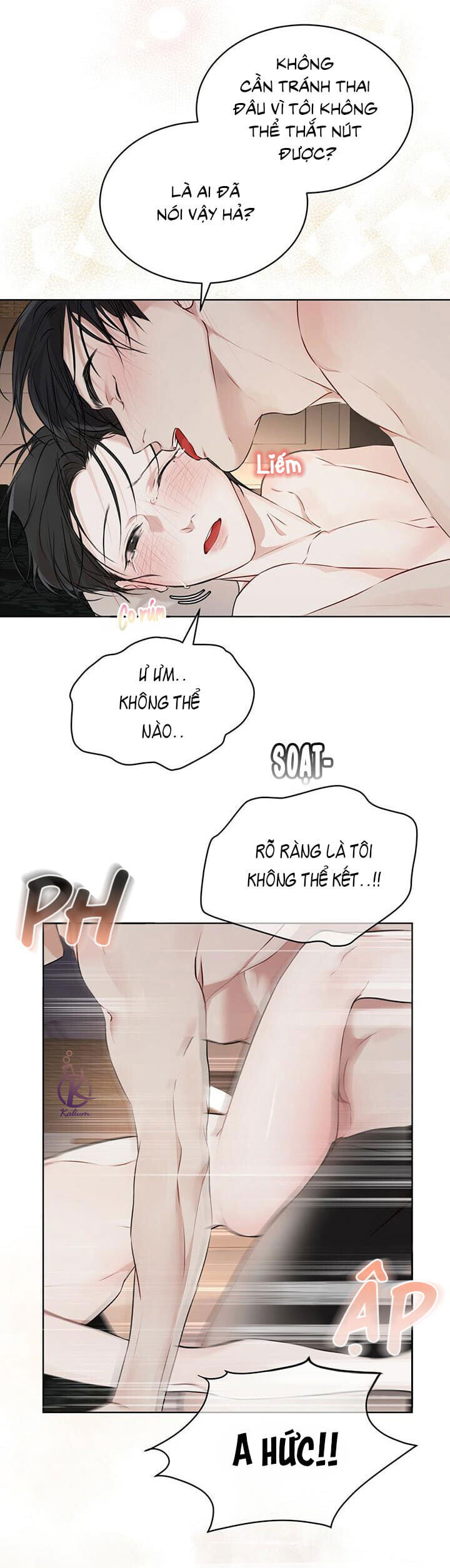 hình thái khởi sinh chapter 28 21