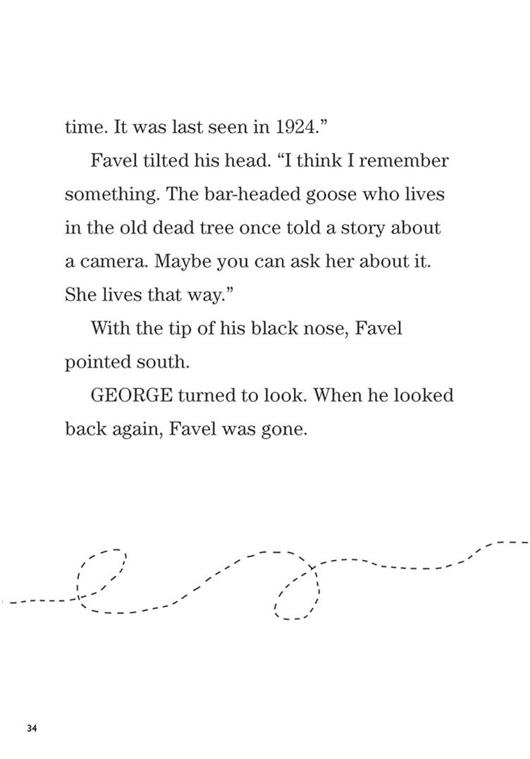 Sách ngoại văn: Chapter Book Sunbird George The Flybot And The Lost Camera On Mount Everest