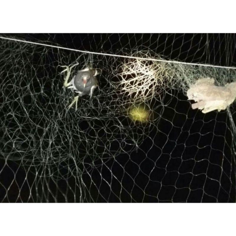Lưới bẫy chim đêm màu đen cước 22 thái lan , 5 dây 4 túi cao 8m4 đã làm hoàn thiện về chỉ sử dụng
