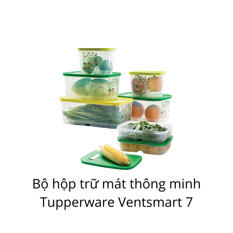 Bộ hộp trữ mát có nút hô hấp Ventsmart 7 hộp