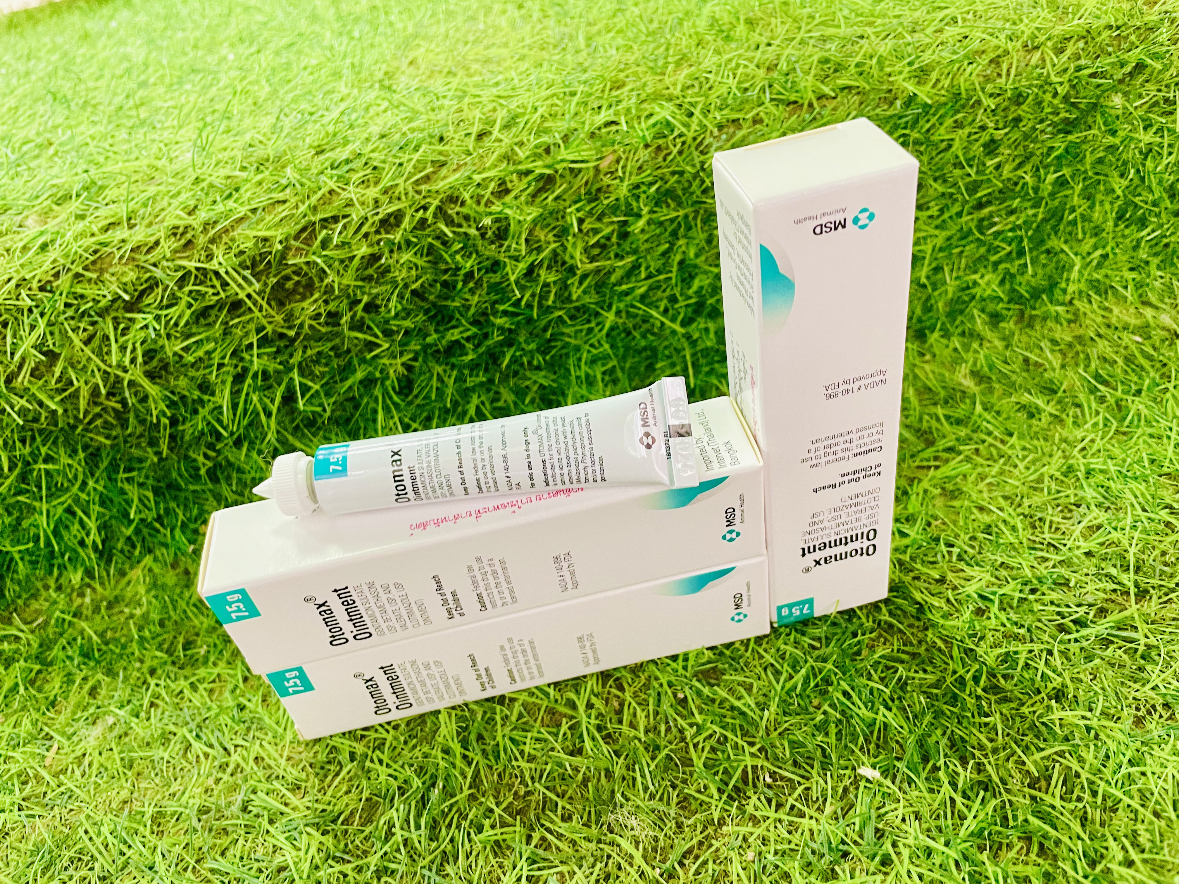 Nhỏ tai Otomax Ointment -tr.ị nấm tai, vi.êm tai cho thú cưng
