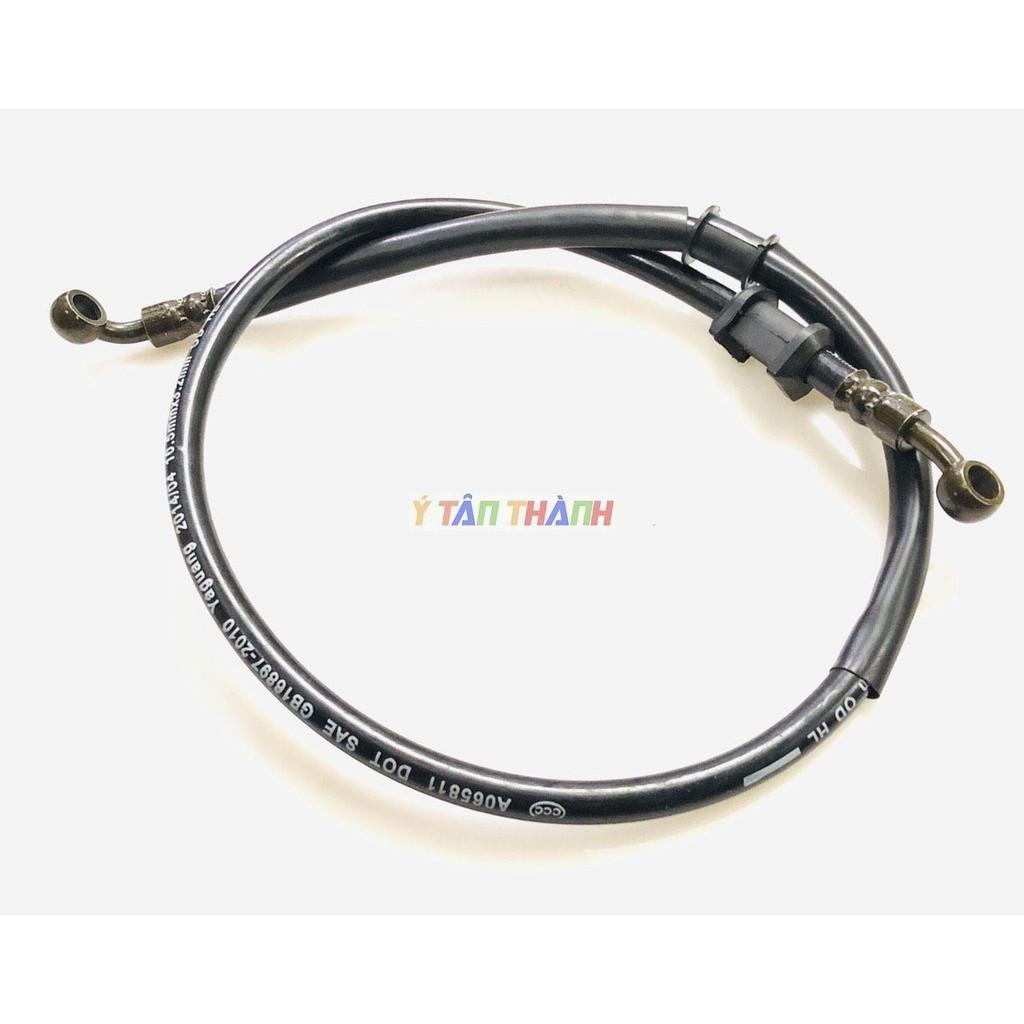 Dây dầu thắng trước