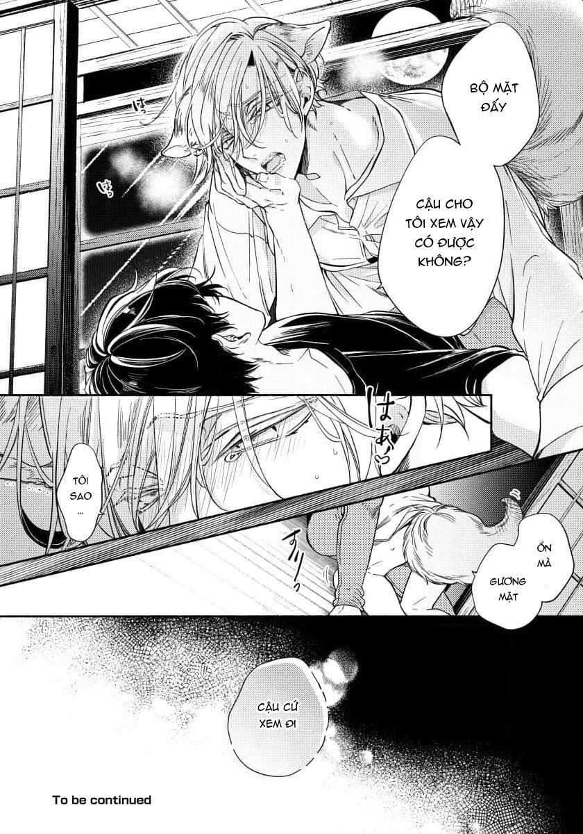 [18+]chú cáo thích nói dối chapter 2.2 19