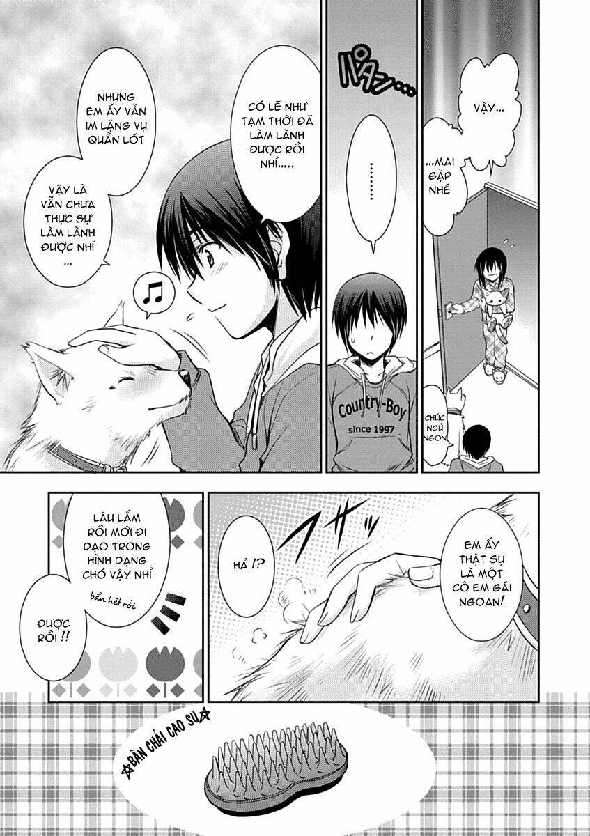 perowan! - hayaku shinasai! goshujin-sama chapter 6 17