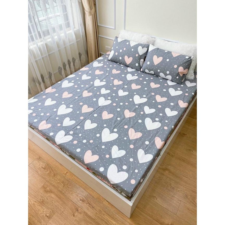 Bộ ga chun trơn và 2 vỏ gối 100% cotton hàn các kích thước