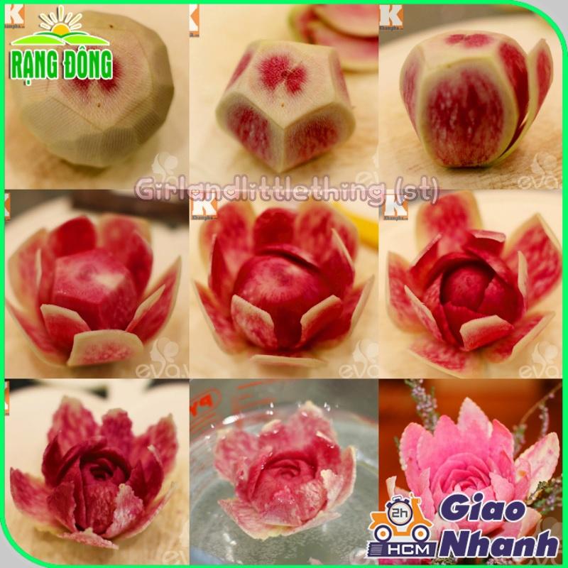 Hạt giống Củ Cải Ruột Hồng Dễ Trồng, Sinh Trưởng Khỏe - Hạt Giống Rạng Đông