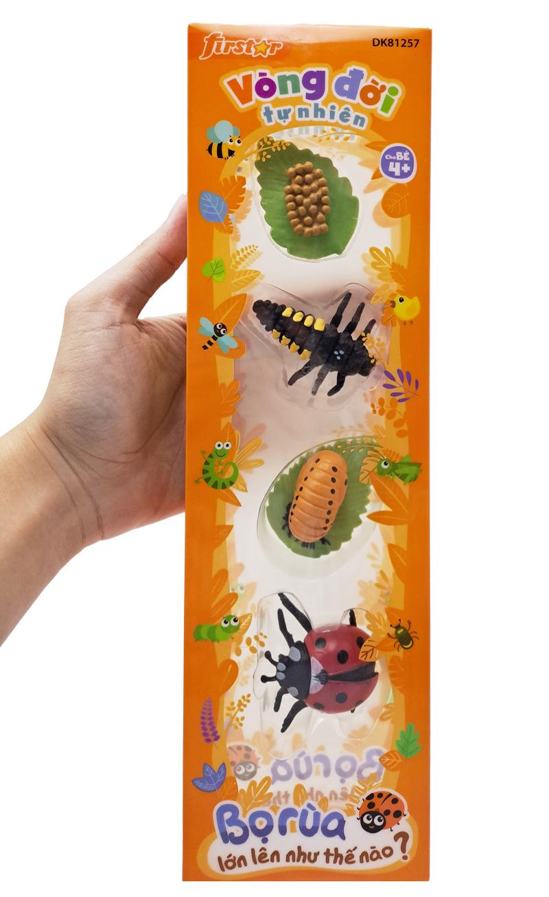 Đồ Chơi Mô Hình Vòng Đời Tự Nhiên - Bọ Rùa Lớn Lên Như Thế Nào? - Firstar DK81257