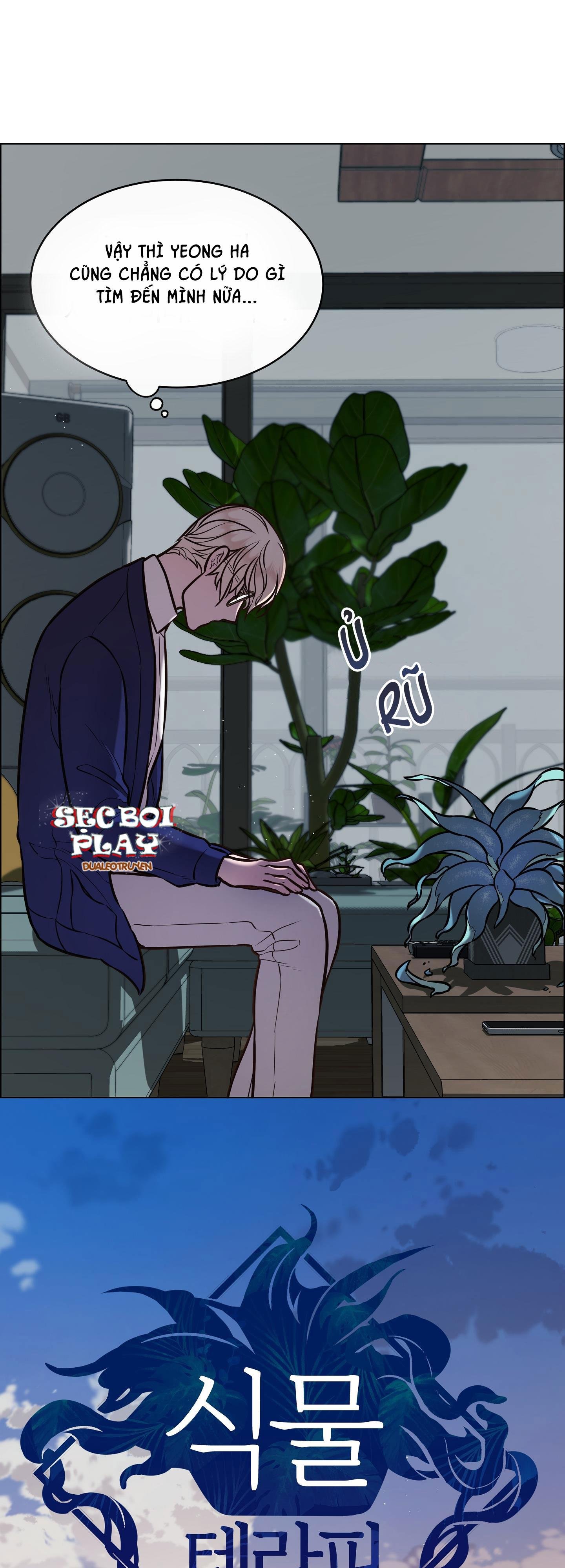 thực vật trị liệu chapter 6 6