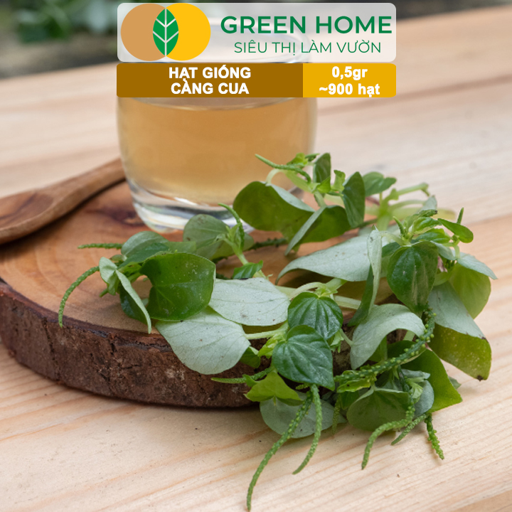 Hạt Giống Rau Càng Cua GreenHome, Gói 0,5gr~900 hạt, Dễ Chăm Sóc,Trồng Quanh Năm,Thu Hoạch Nhanh R27