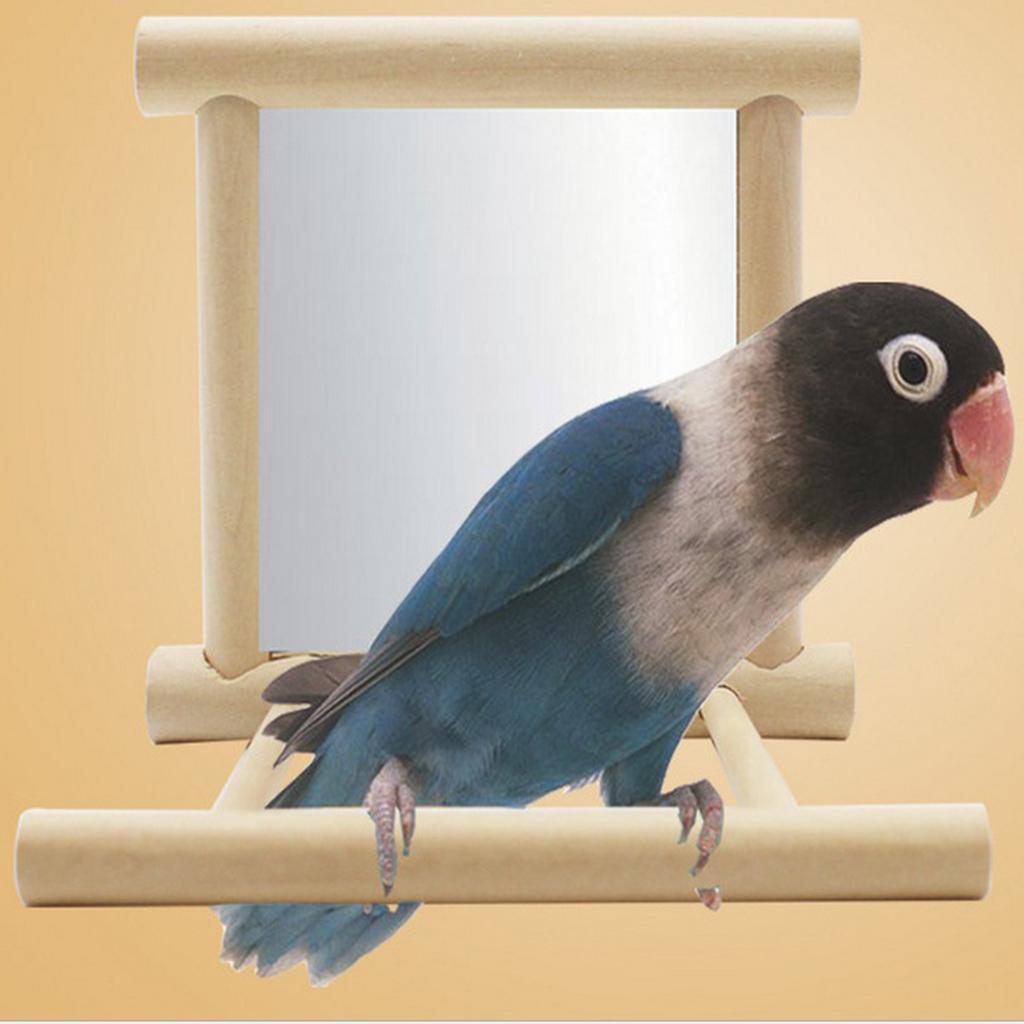 Pet Bird Cage Perches Stand Platform + Bird Swing Hanging Play with Mirror